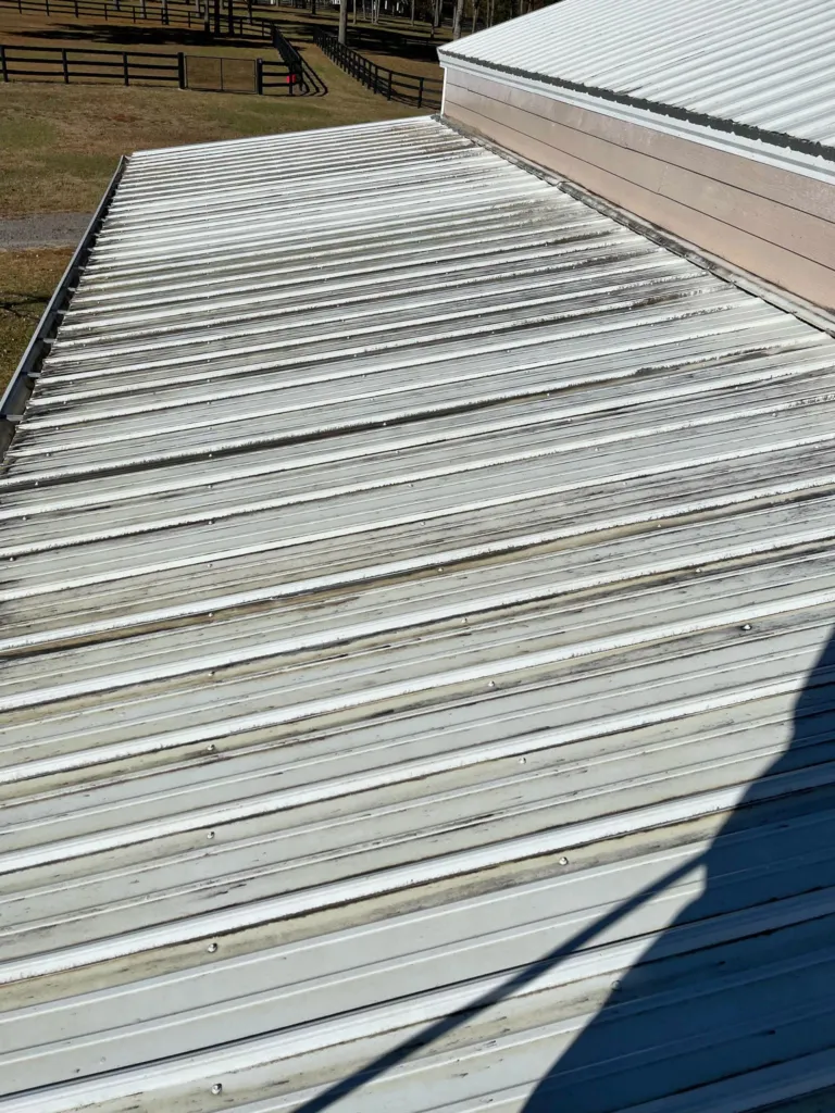 Metal Roof Before