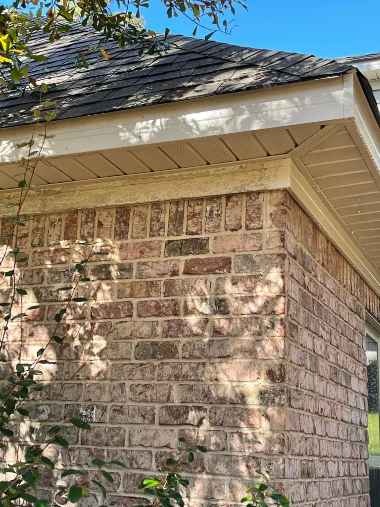 Mildew Trim Removal Before